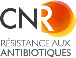 logo cnr